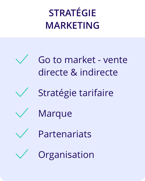 Stratégie marketing :<br />
- Go to market - vente directe & indirecte ;<br />
- Stratégie tarifaire ;<br />
- Marque ;<br />
- Partenariats ;<br />
- Organisation.